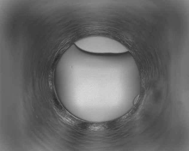 X0000054470175200507291057