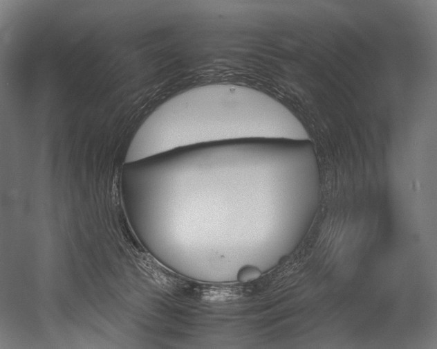 X0000054470177200507291057