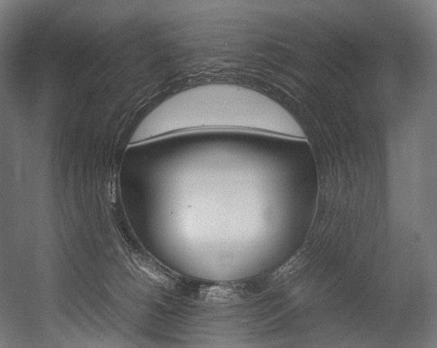 X0000054470180200507291057