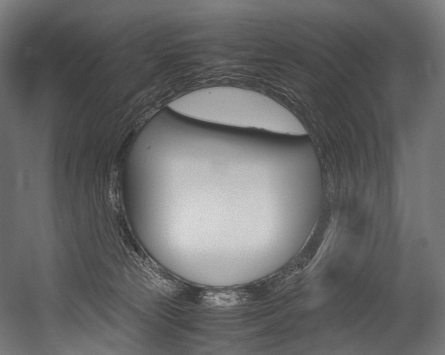 X0000054470181200507291057