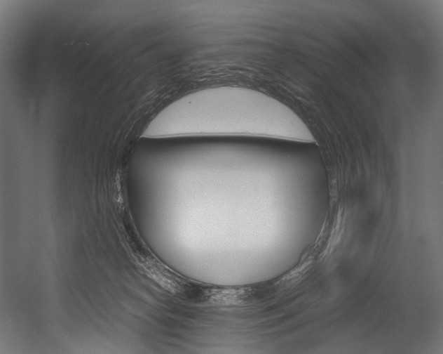 X0000054470182200507291057