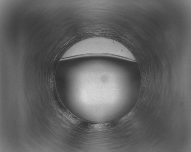 X0000054470184200507291057