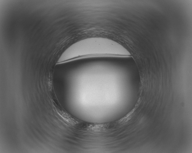 X0000054470186200507291057