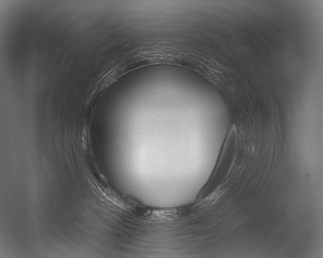 X0000054470188200507291057