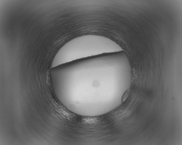 X0000054470189200507291057