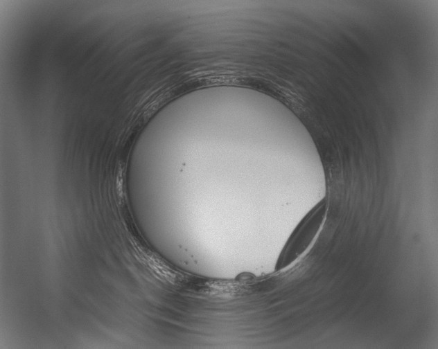 X0000054470190200507291057