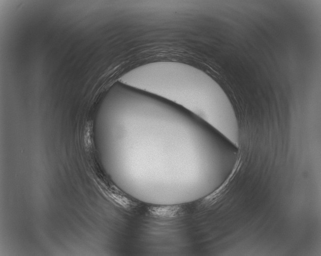 X0000054470191200507291057
