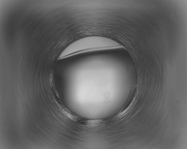 X0000054470192200507291057