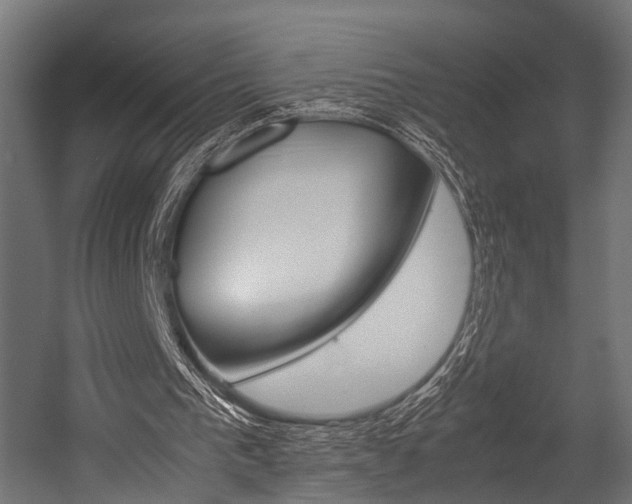 X0000054470193200507291056