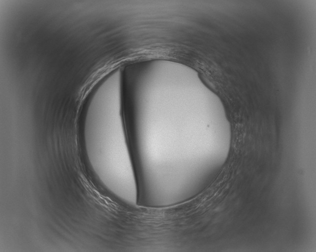 X0000054470194200507291056