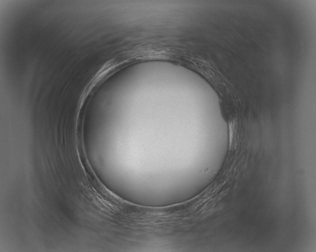 X0000054470195200507291056