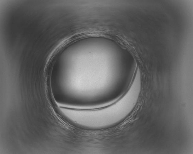 X0000054470197200507291056