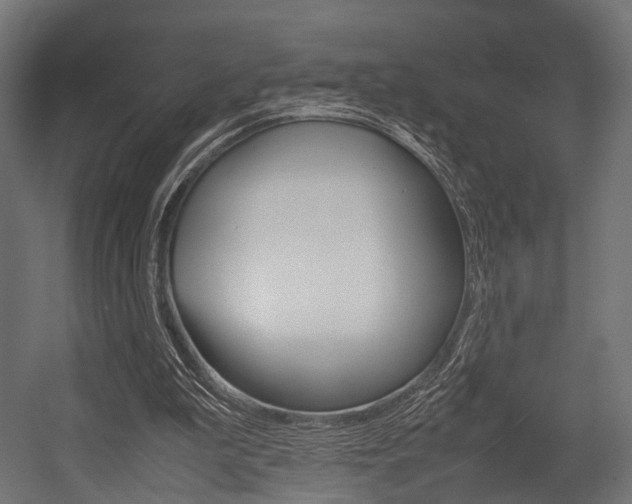 X0000054470199200507291056