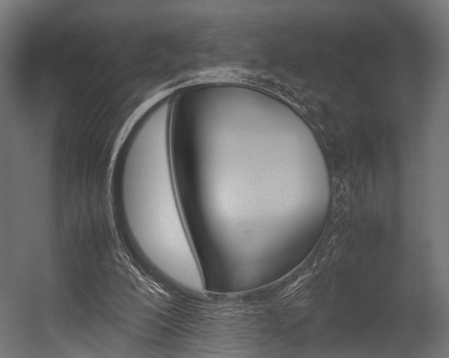 X0000054470200200507291056