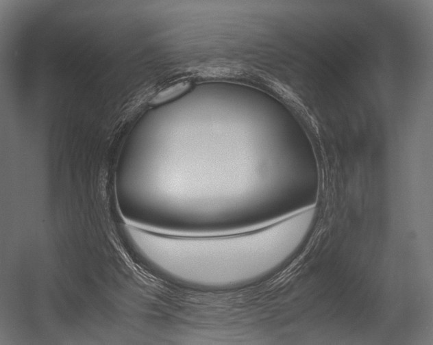 X0000054470201200507291056