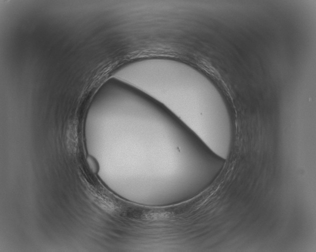 X0000054470202200507291056