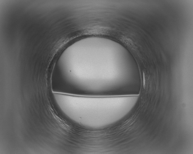 X0000054470204200507291056
