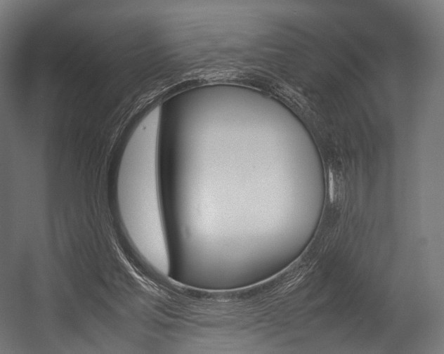 X0000054470205200507291056