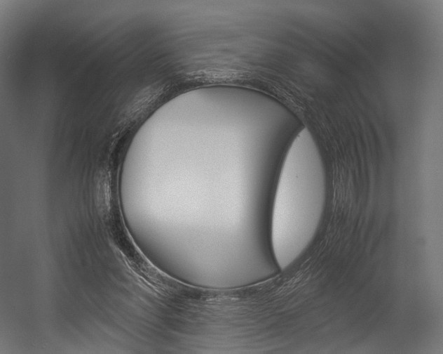 X0000054470206200507291056