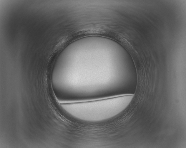 X0000054470207200507291056