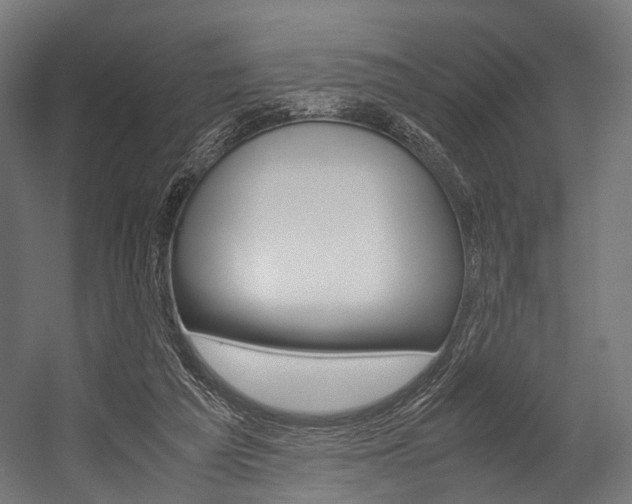 X0000054470209200507291056
