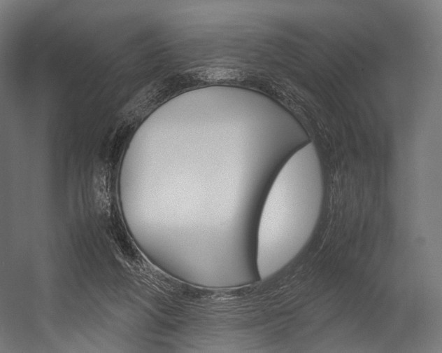 X0000054470210200507291056