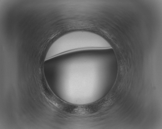 X0000054470211200507291056