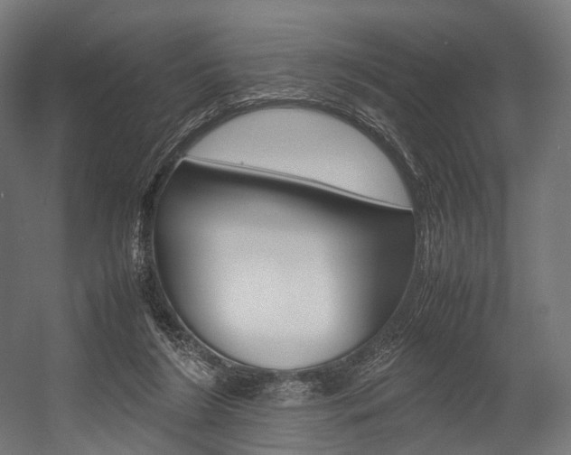 X0000054470212200507291056