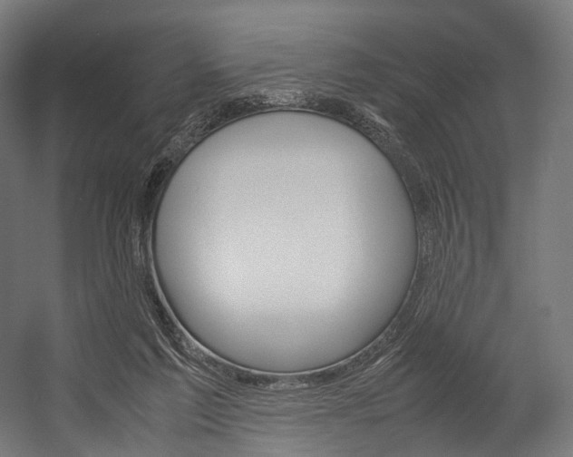 X0000054470213200507291056