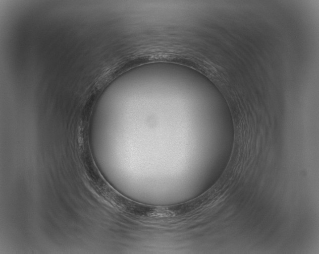 X0000054470215200507291056
