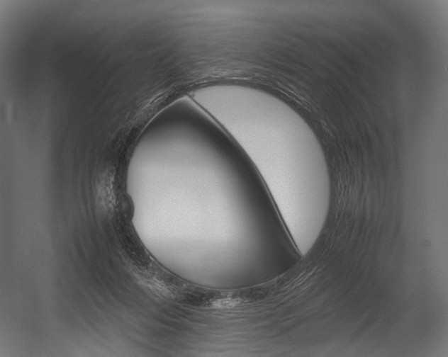 X0000054470216200507291056