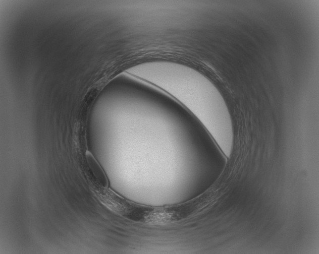 X0000054470217200507291056