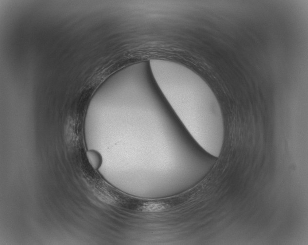 X0000054470218200507291056