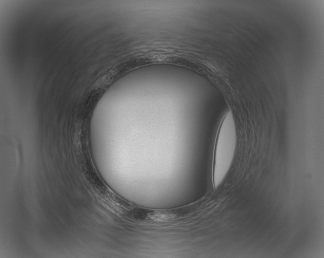 X0000054470221200507291056