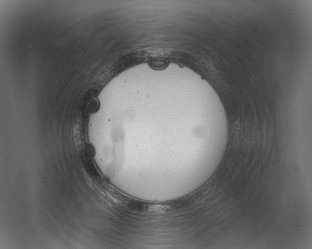 X0000054470222200507291056