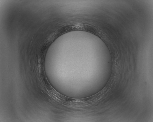 X0000054470223200507291056