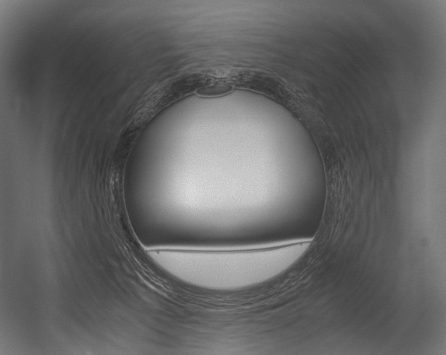 X0000054470225200507291056
