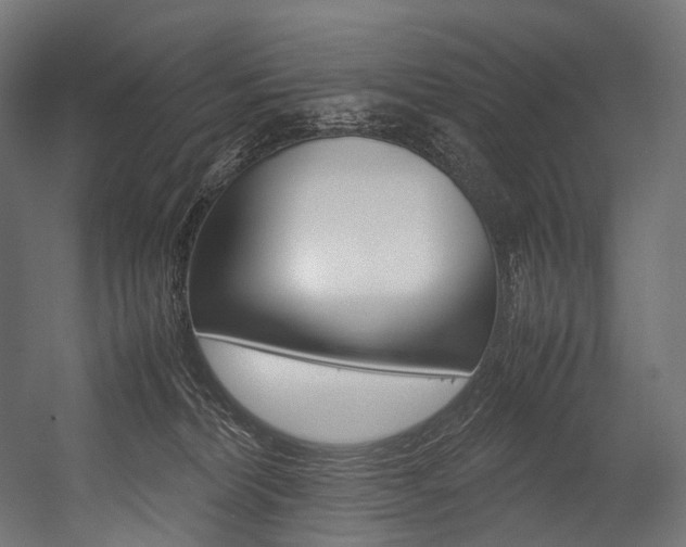 X0000054470228200507291056