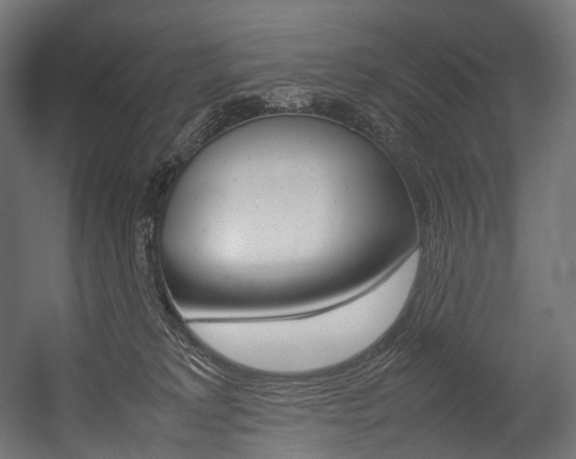 X0000054470229200507291056