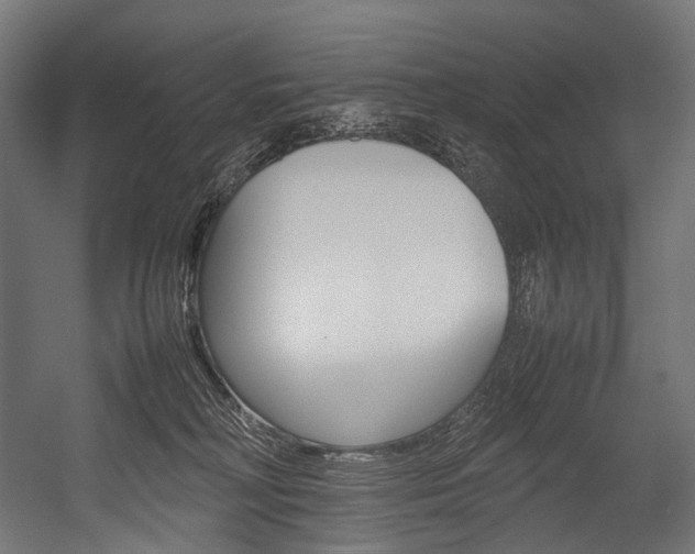 X0000054470230200507291056