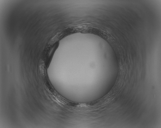 X0000054470231200507291056