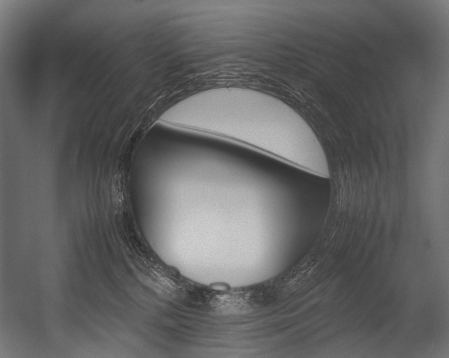 X0000054470232200507291056