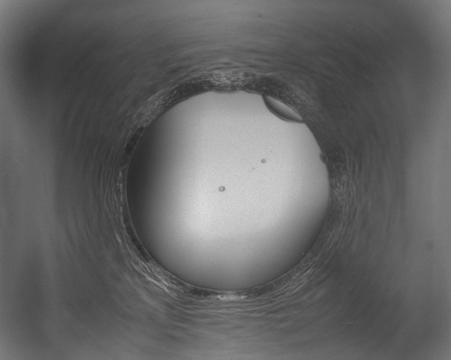 X0000054470233200507291056