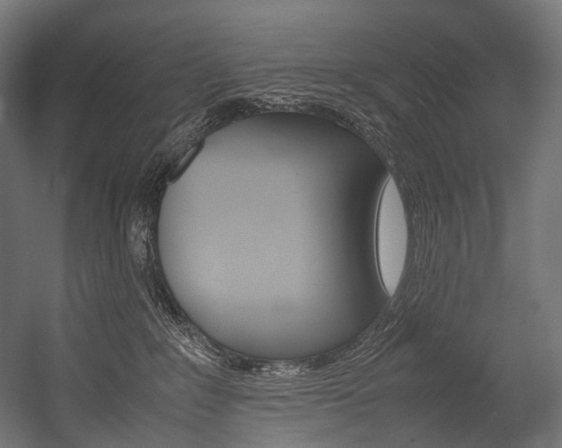 X0000054470235200507291055