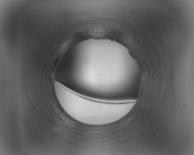 X0000054470237200507291055