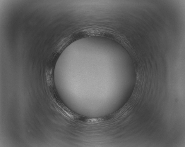 X0000054470239200507291055