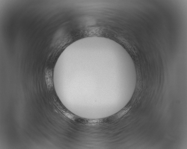 X0000054470240200507291055