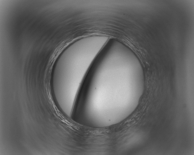 X0000054470241200507291055