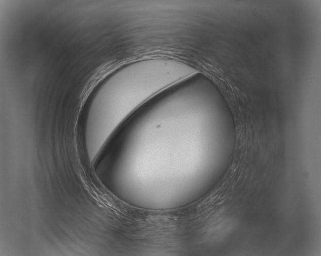 X0000054470242200507291055