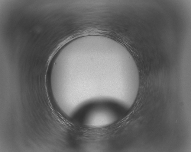 X0000054470244200507291055